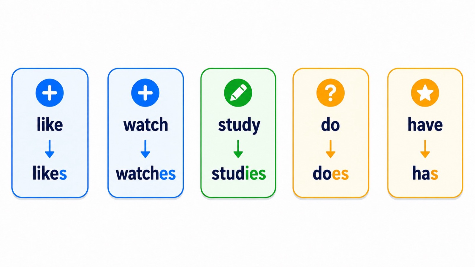 第三人称单数 s es ies 拼写规则卡,包含 like likes、watch watches 和 study studies。